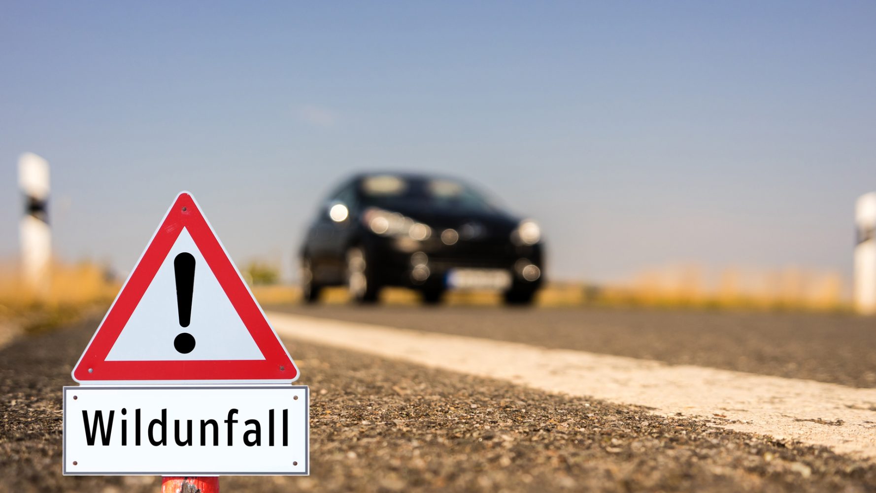 Wildunfall