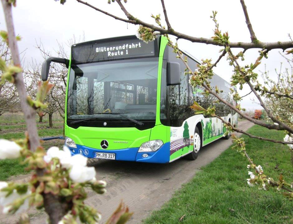 Zusammenstoß zwischen Pkw und Linienbus – Alkohol festgestellt