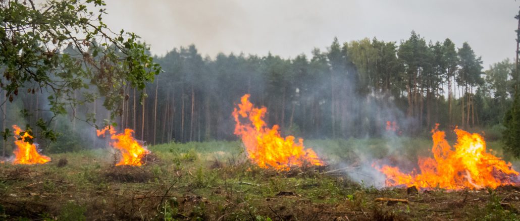 Ödlandbrand nach Kokelei
