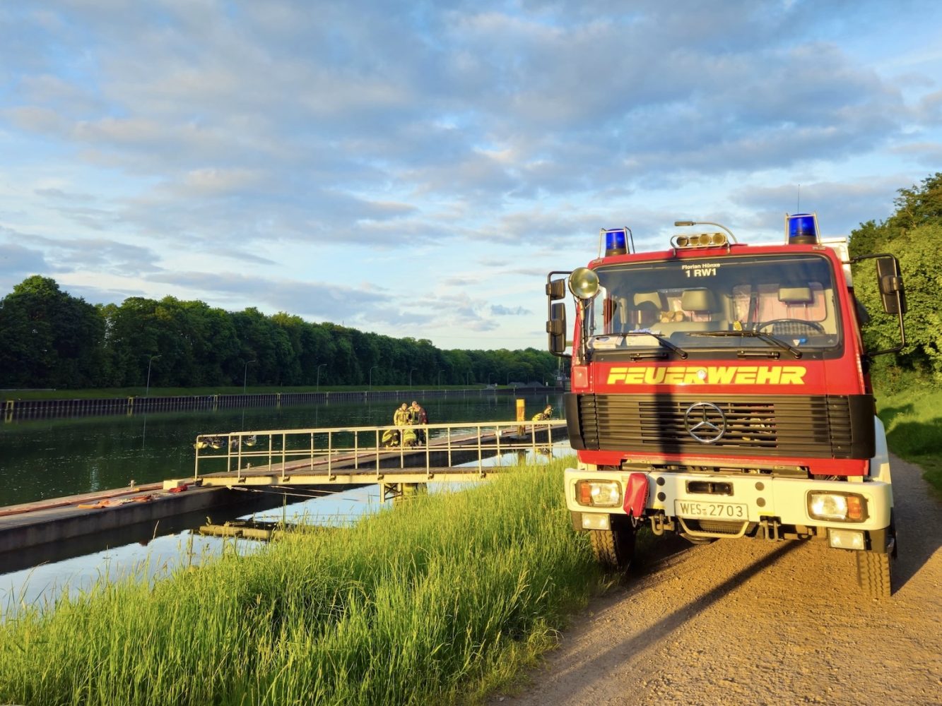 Reh im Wesel-Datteln-Kanal