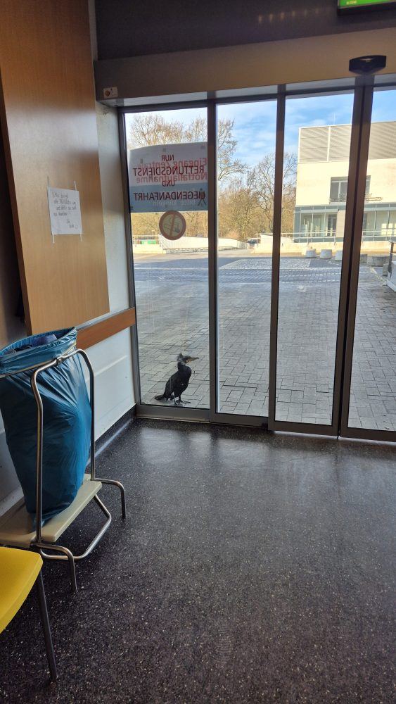 Ein tierischer Ausnahmefall in der Notaufnahme