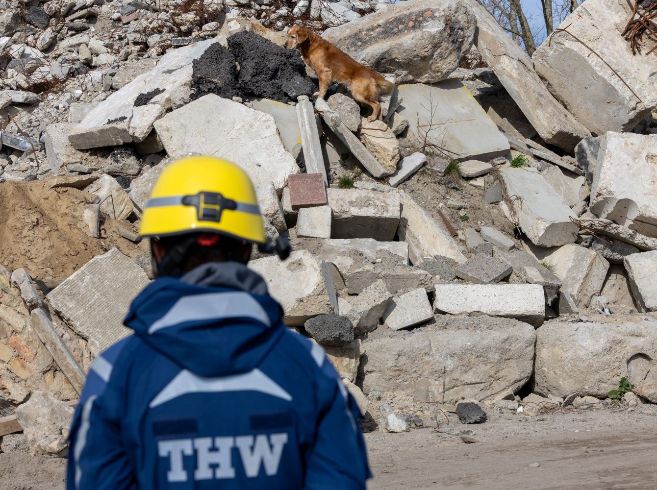 THW veranstaltet in Berlin erstes bundesweites Rettungshundetreffen