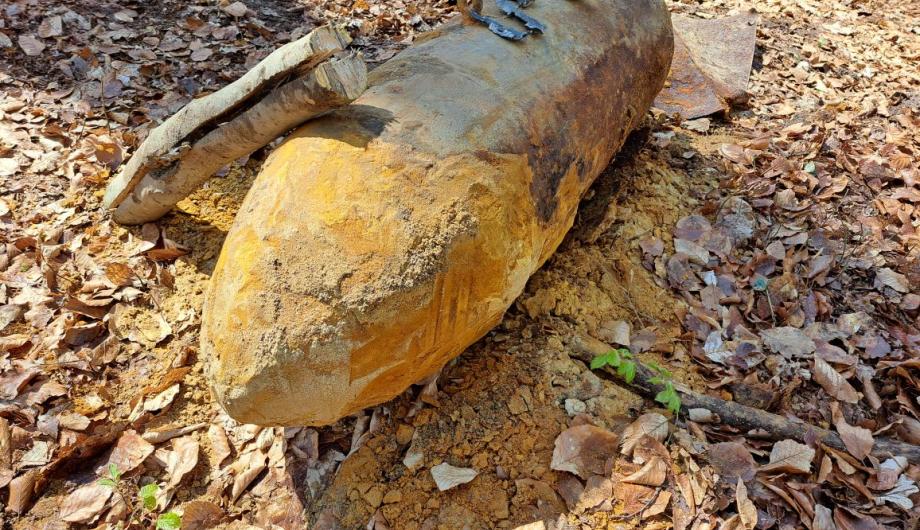 Weltkriegsbomben im Wildpark: Erfolgreicher Einsatz / Sperrkreis aufgehoben