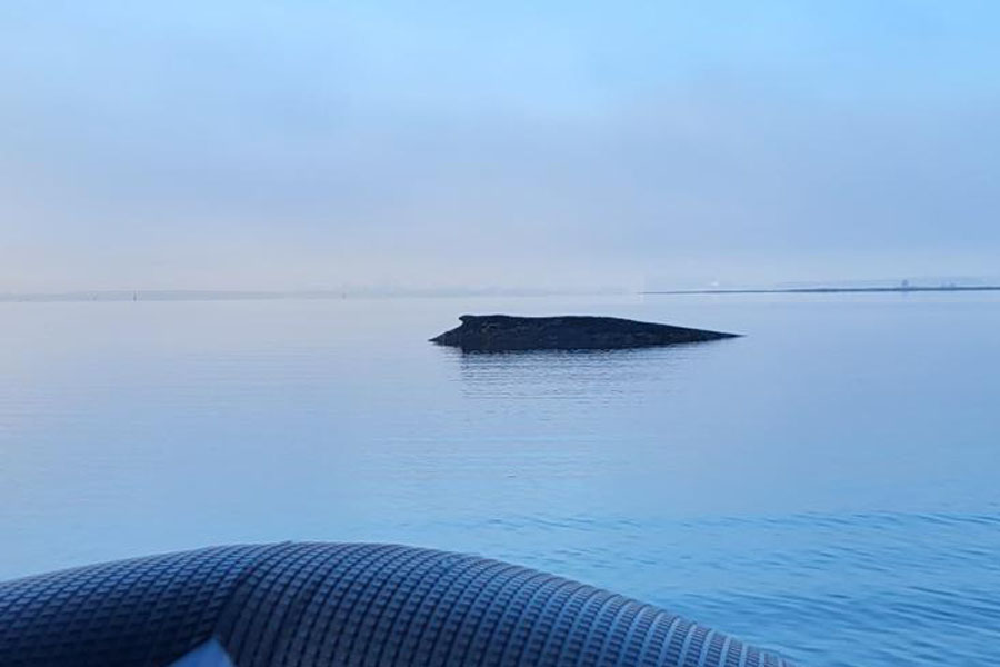 Erlass einer Allgemeinverfügung für den wasserseitigen Bereich um den Buckelwal